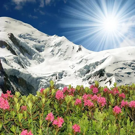 Sainte-foy-l'argentiere Sleeps 5 *